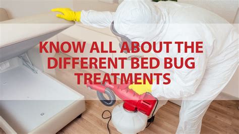 Bed Bug Treatment in Thunderbolt, GA .